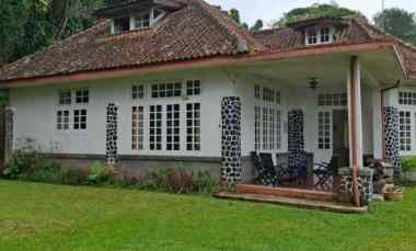 dijual murah villa dan tanah dekat puncak pass