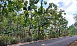 dijual pekarangan 418m2 kerjo karanganyar