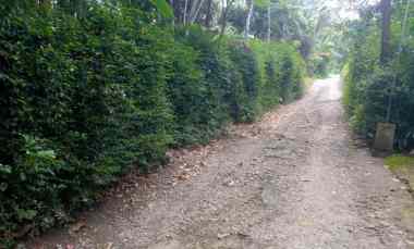 dijual pekarangan kanoman karangnongko