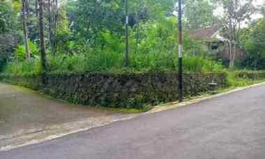 dijual pekarangan tangkil kemalang