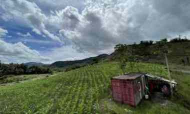 dijual perkebunan seluas 2h di totabuan sulawesi utara