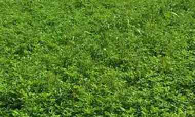 dijual ruko gudang kantor dharmahusada