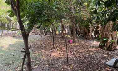 Gudang Dijual Nol jl Raya Usman Sadar Gresik Harga Terbaik