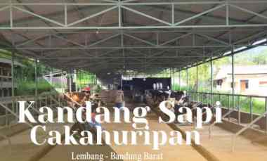 Jual Kandang Peternakan Sapi dan Villa di Cikahuripan Lembang Bandung