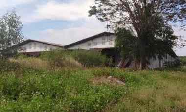 Dijual Gudang Industri Jalan Raya PLP Curug Weran, Tangerang