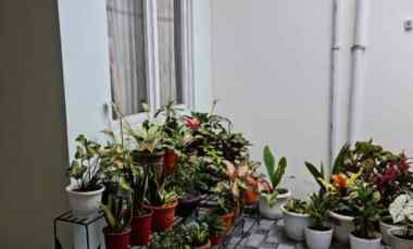 Dijual Rumah 2 Lantai Full Furniture Cihideung, Bandung