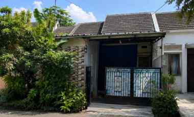 dijual rumah ciampea bogor