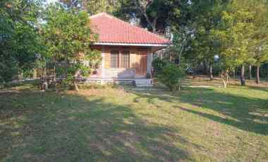 dijual rumah dan kebun