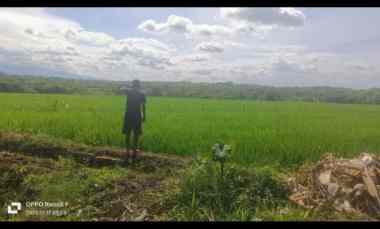 dijual rumah di manisharjo kec bendosari kab sukoharjo