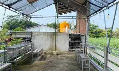 dijual rumah di nganjuk