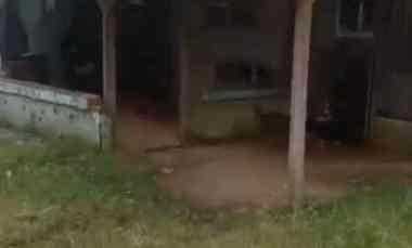 dijual rumah dijual rumah di desa