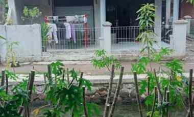 dijual rumah dijual rumah di dusun
