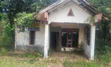 dijual rumah dijual tanah bonus rumah