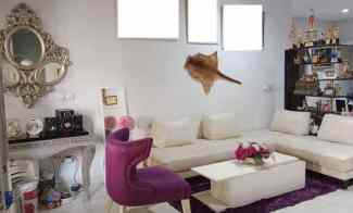 dijual rumah grand orchard kelapa