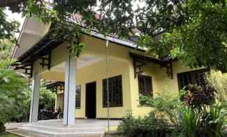 Rumah Berhalaman Luas Area Wirokerten Jln Imogiri Timur