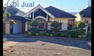 dijual rumah jl mojopahit jember
