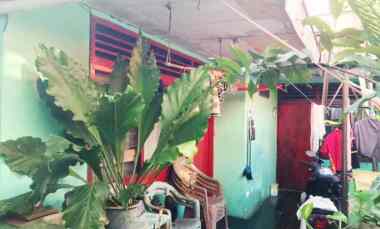 dijual rumah jl ulujami raya gang palm