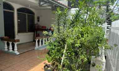 dijual rumah kelapa cengkir kelapa