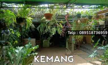 dijual rumah kemang
