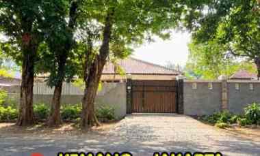 Dijual Cepat Rumah Kemang Tropis Modern Ada Private Pool Siap Huni