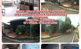 Rumah Murah Strategis Area Lamper Tengah Kedungmundu Semarang Lt/b13