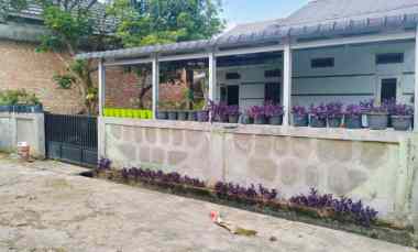 dijual rumah murah jl muhajirin arengka hanya 185 juta