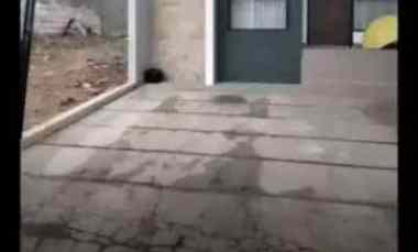 dijual rumah perum harmony regency