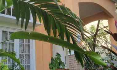 dijual rumah pondok gede