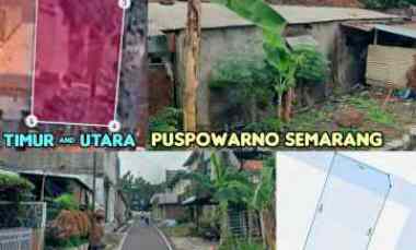dijual rumah puspowarno