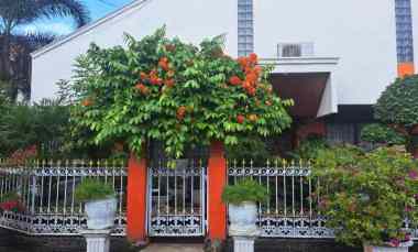 dijual rumah salemba
