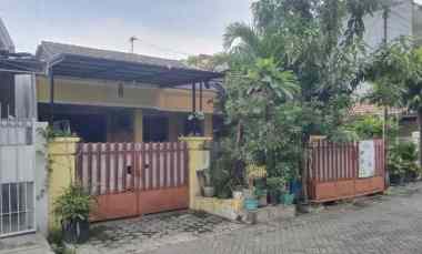 dijual rumah semolowaru