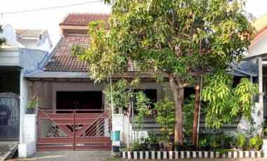 dijual rumah siap huni pandugo rungkut merr rev a620