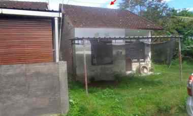 dijual rumah siap huni rp 126jt di jembrana bali