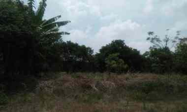 dijual rumah sidodadi samarinda hulu kalimantan timur