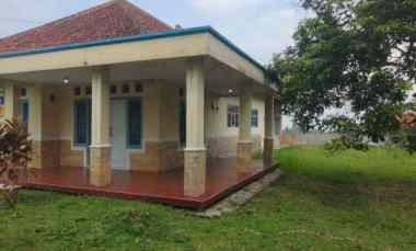 dijual rumah tanah luas pinggir jalan view sawah