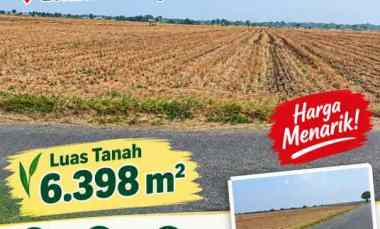 Dijual Sawah di Kertajati Majalengka