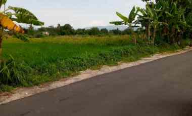 dijual sawah kranggan kebonalas manisrenggo