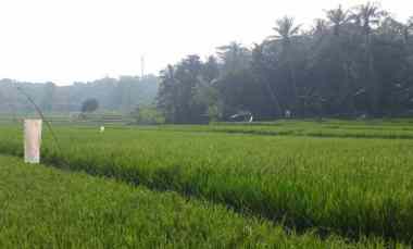 Dijual Sawah Produktif di Purwamekar Kota Purwakarta