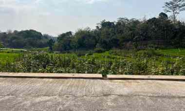 Dijual Sawah Subur 1500m2 Utara Pasar Karangpandan