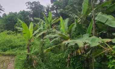 dijual segera tanah shm cocok untuk kebun rumah
