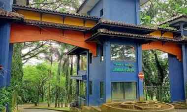 dijual taman wisata lembah dieng