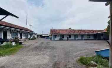 Dijual Tambak Udang Vaname Aktif di Situbondo