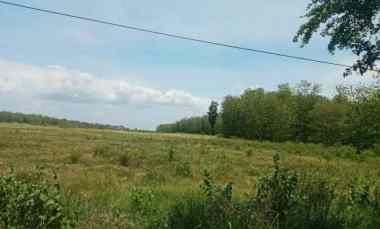 dijual tanah 20 000m2 dengan prospek besar