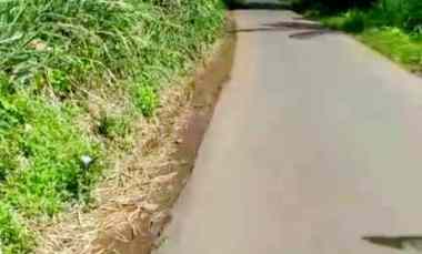 Dijual Tanah 50 Hektar di Kabupaten Bogor