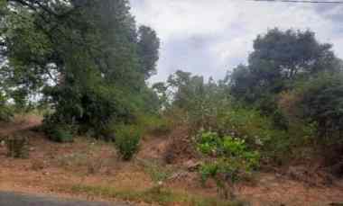 dijual tanah 92500 m2 di kubutambahan buleleng bali