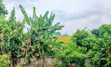 Dijual Tanah Komplek Perumahan Abianbase Mengwi Badung Bali