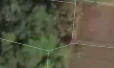 dijual tanah abiansemal badung bali