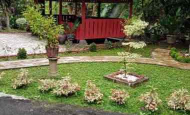 dijual tanah ada kolam ikan rancabungur bogor