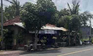Dijual 1,0339 Ha. jl. Air Sanih Tejakula Kubutambahan Buleleng