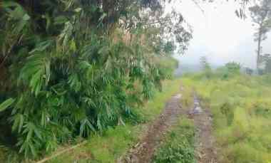 dijual tanah akses jalan mobil masuk di randobawa